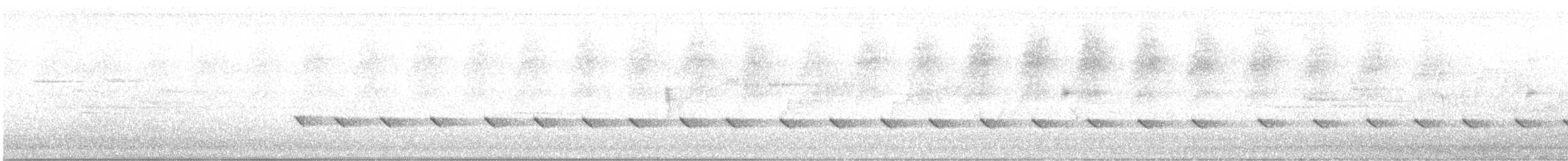 Королаз плямистобокий - ML646506586