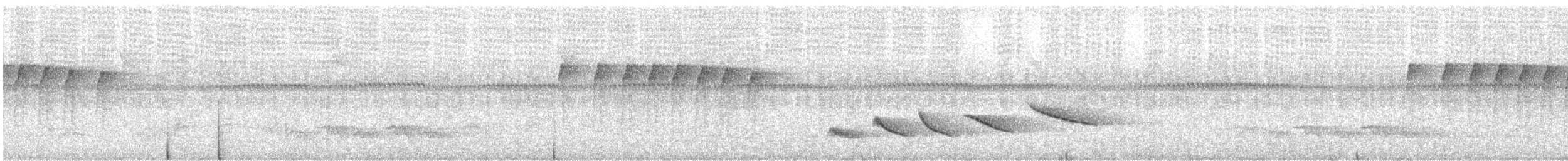 Streaked Xenops - ML646506796