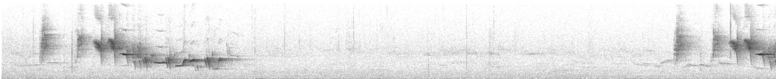 シロモフアムシクイ - ML646506870