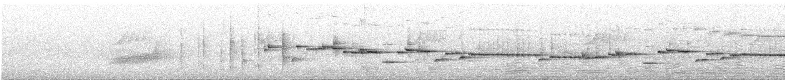 Gray Gerygone - ML646507224