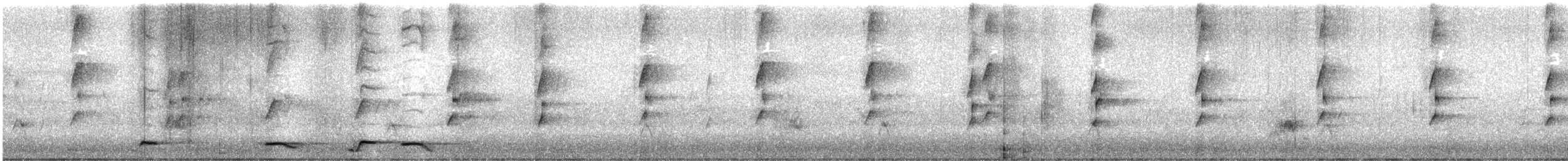 Gray Butcherbird - ML646507296