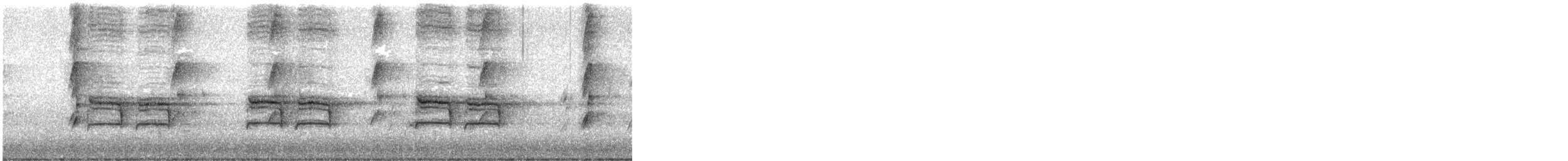 Magpie-lark - ML646507302