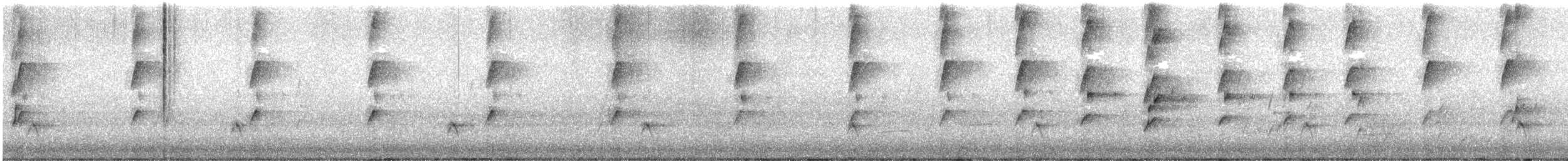 Noisy Miner - ML646507305