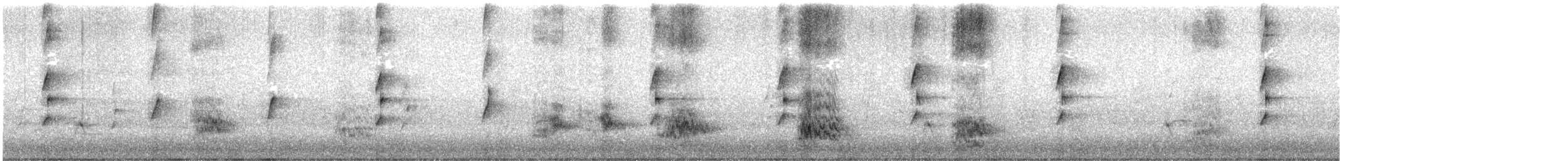 Parrocchetto di Barraband - ML646507346