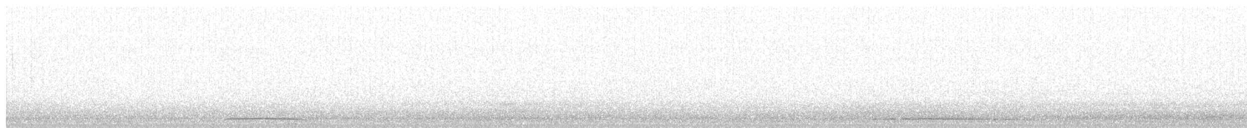 Allocco - ML646507392