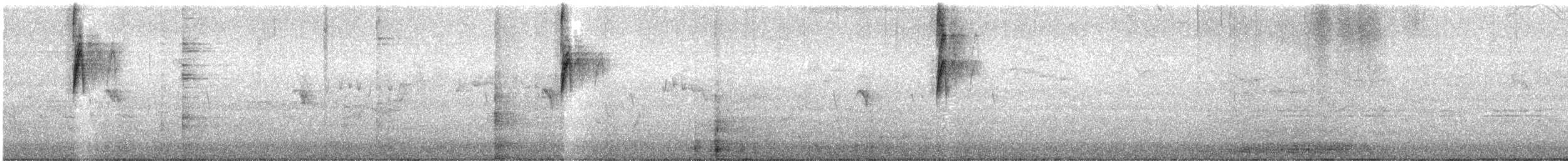 New Holland Honeyeater - ML646507396