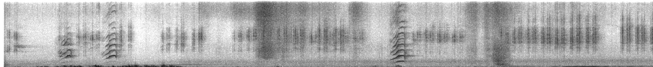 Pied Currawong - ML646507487