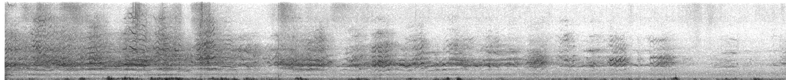 Little Corella - ML646507750