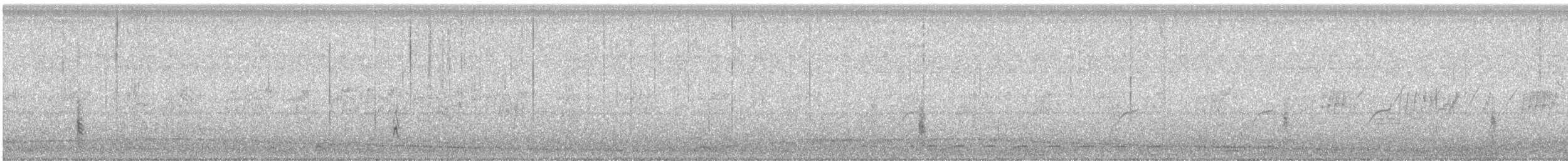 ノゴマ - ML646507822