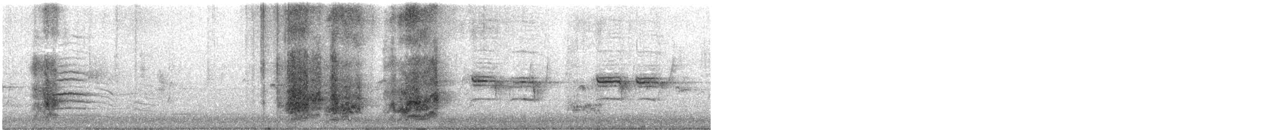 Superb Parrot - ML646507855