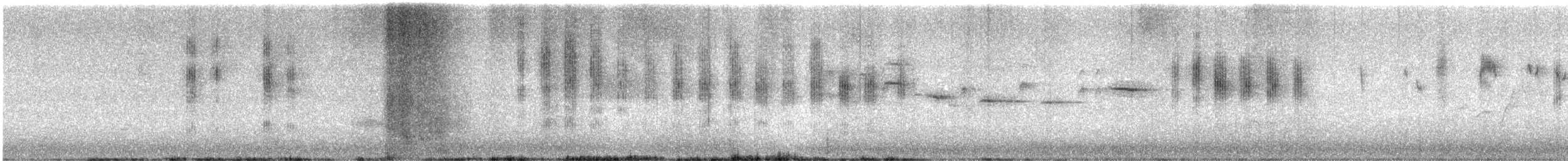 Brown Thornbill - ML646508003