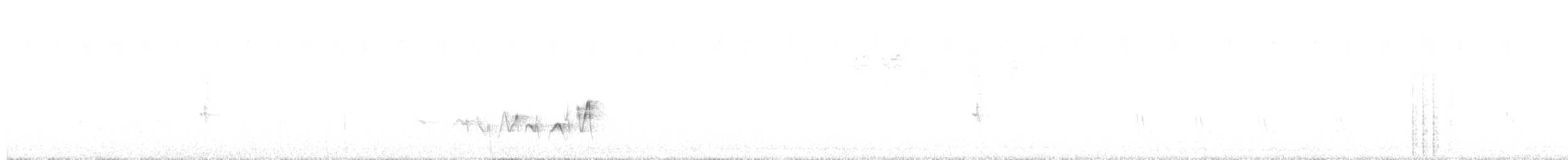 Whistling Cisticola - ML646508127