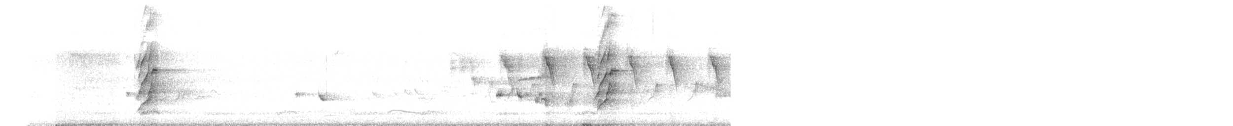 Plum-headed Parakeet - ML646508797