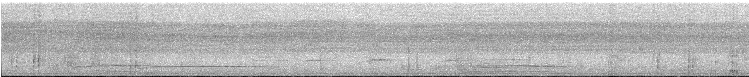 ベルベットモンキー - ML646508979