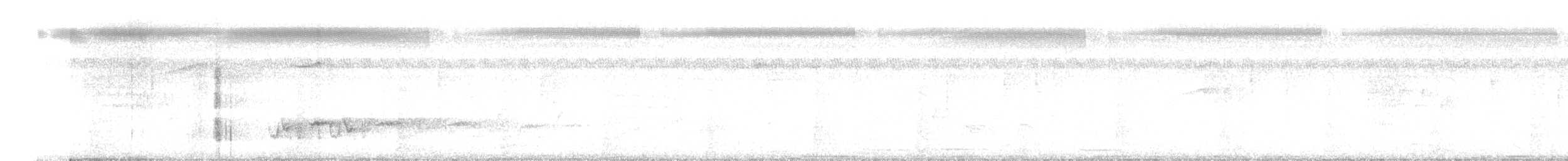 småmønjefugl - ML646509221