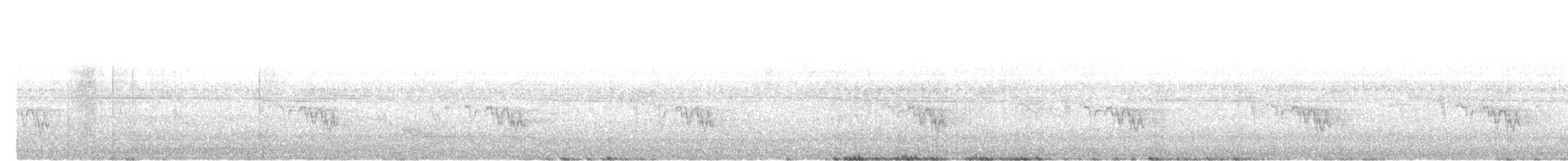 Bouscarle à sourcils blancs - ML646509232