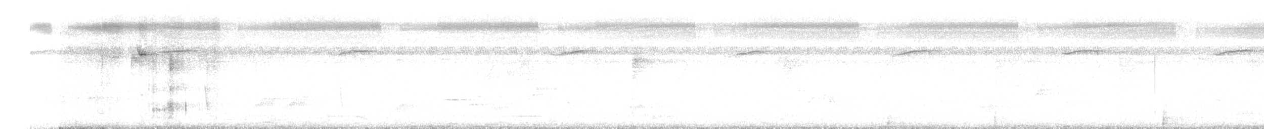 småmønjefugl - ML646509404