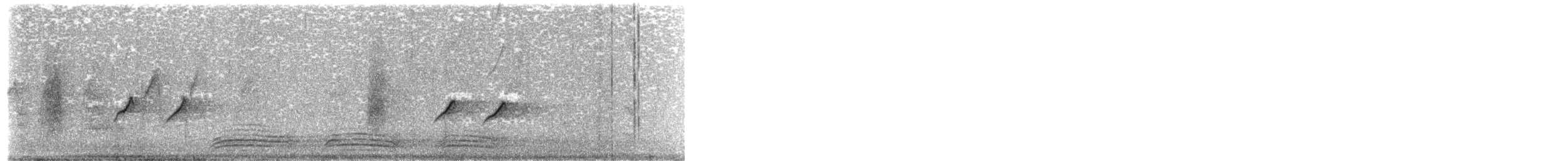 askedrongo - ML646509473