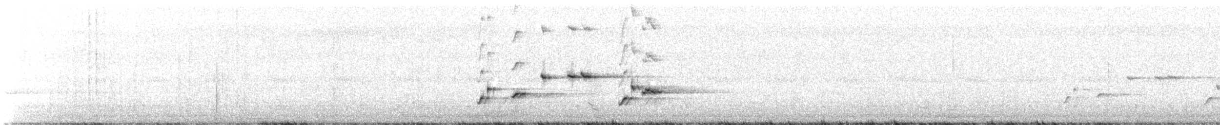 gallaviftestjert - ML646510146