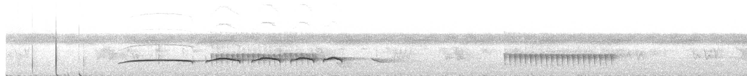 Tufted Antshrike - ML646510903