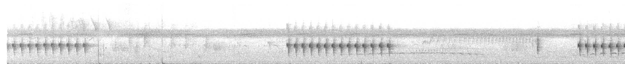 Long-billed Gnatwren - ML646511057