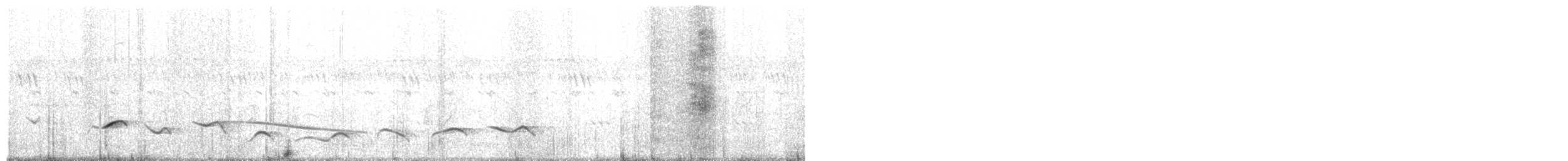 svartkronesjagra - ML646511650