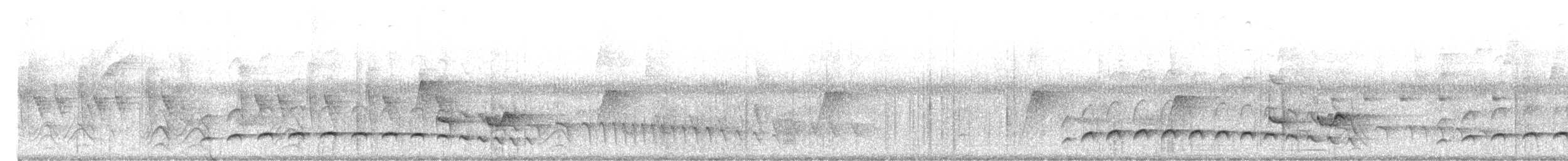 Spot-breasted Antvireo - ML646511653