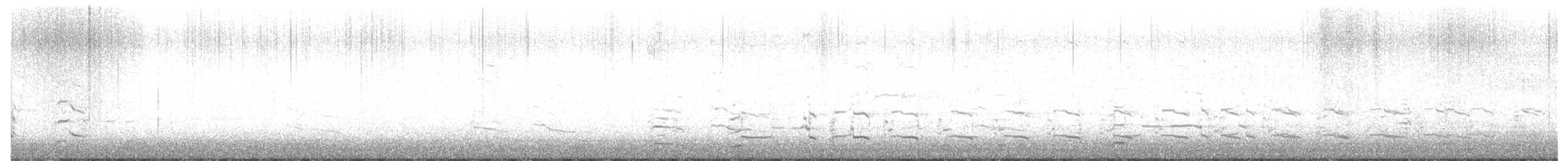 American Herring Gull - ML646511661