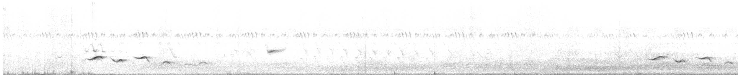 Black-crowned Tchagra - ML646511940