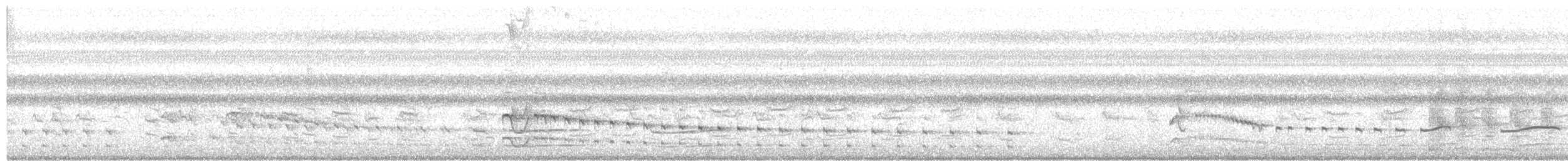 Polluela Sora - ML646512221