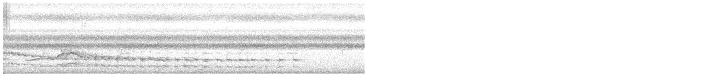 Polluela Sora - ML646512242