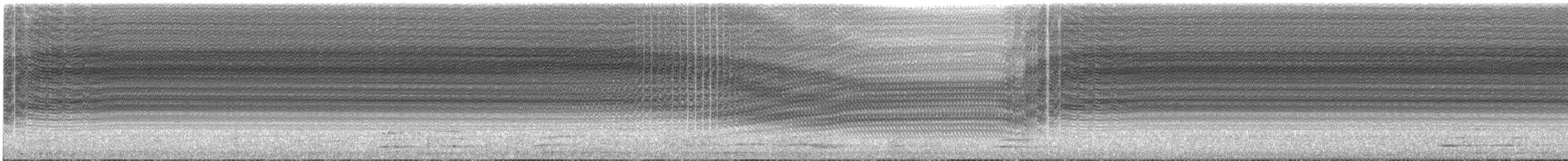 セミ科 - ML646512403