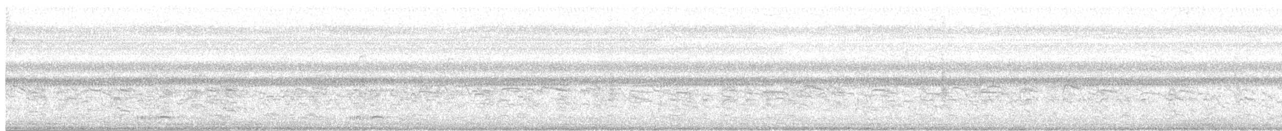 Capuchino Tricolor - ML646512405