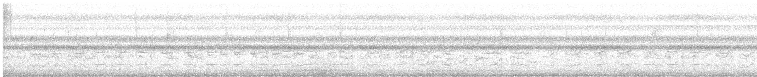 Capuchino Tricolor - ML646512419