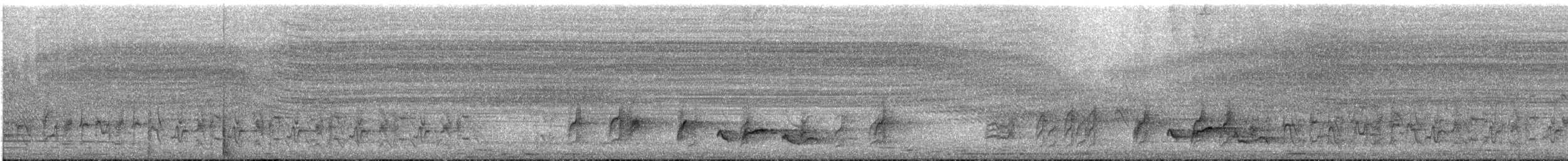 Common Bulbul (Dark-capped) - ML646512422