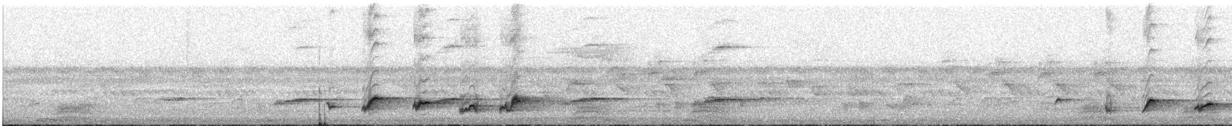 Common Bulbul (Dark-capped) - ML646512423