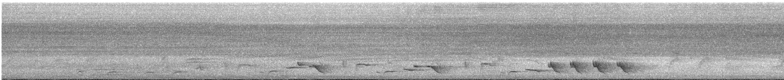 White-browed Robin-Chat - ML646512430