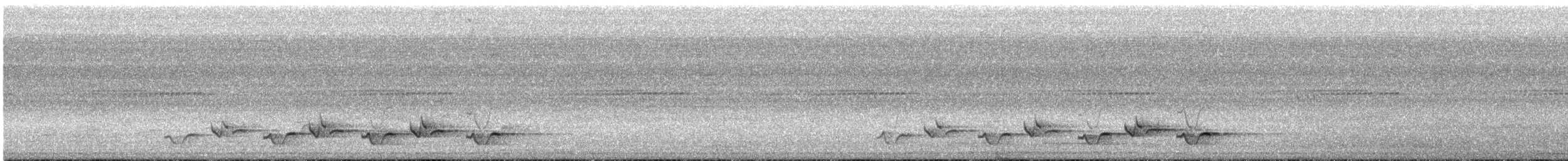 White-browed Robin-Chat - ML646512431