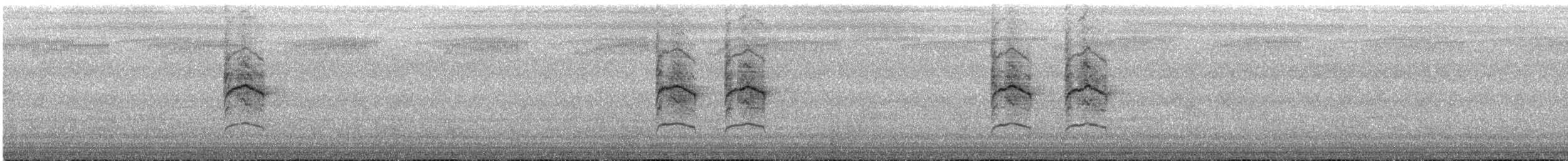 Collared Sunbird - ML646512446