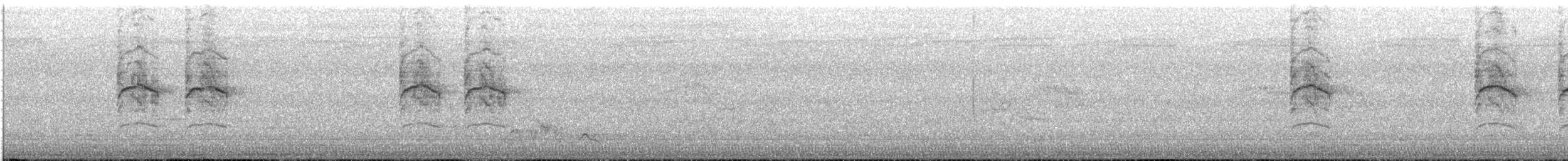 Collared Sunbird - ML646512448