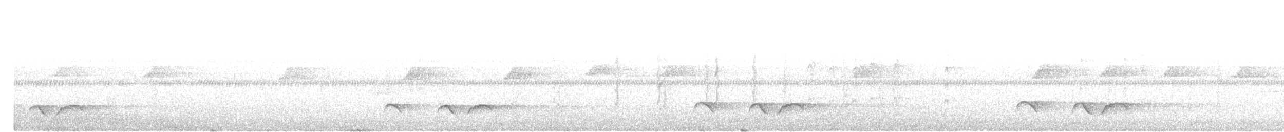 Зозуля острівна - ML646512783