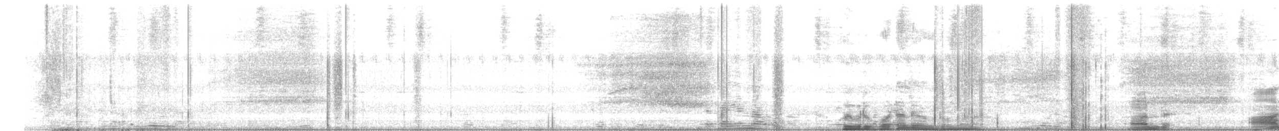 Eastern Barn Owl - ML646512840