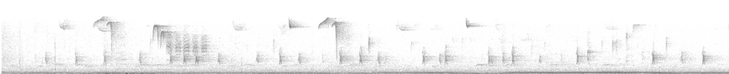 Hermit Thrush - ML646513148