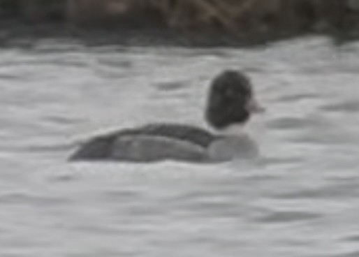 Altıngöz - ML646513220