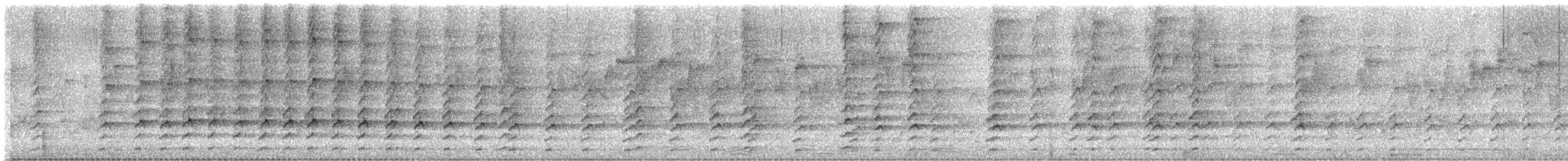 Hamerkop - ML646513720