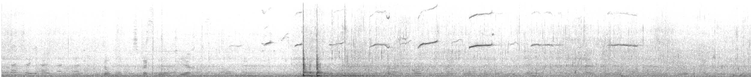 Brai hegaluzea - ML646514008