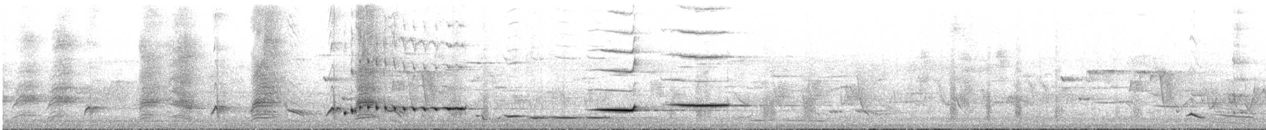 Australian Magpie (Black-backed) - ML646514085