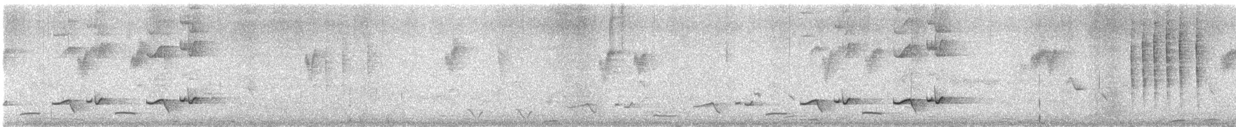 Cosifa de Heuglin - ML646514169