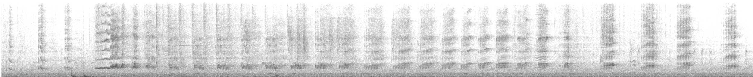 Western Swamphen - ML646514217