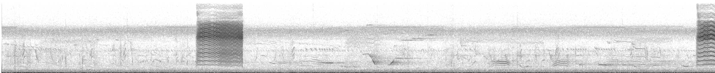 Golden-headed Cisticola - ML646514296